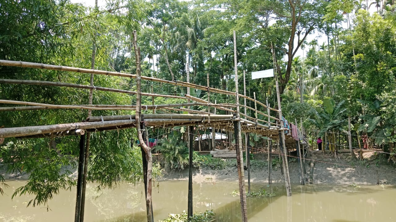 ঝুঁকিপূর্ণ সুপারি গাছের সেতুতেই যুগের পর যুগ চলাচল, সুবিধা বঞ্চিত হাজারো মানুষ