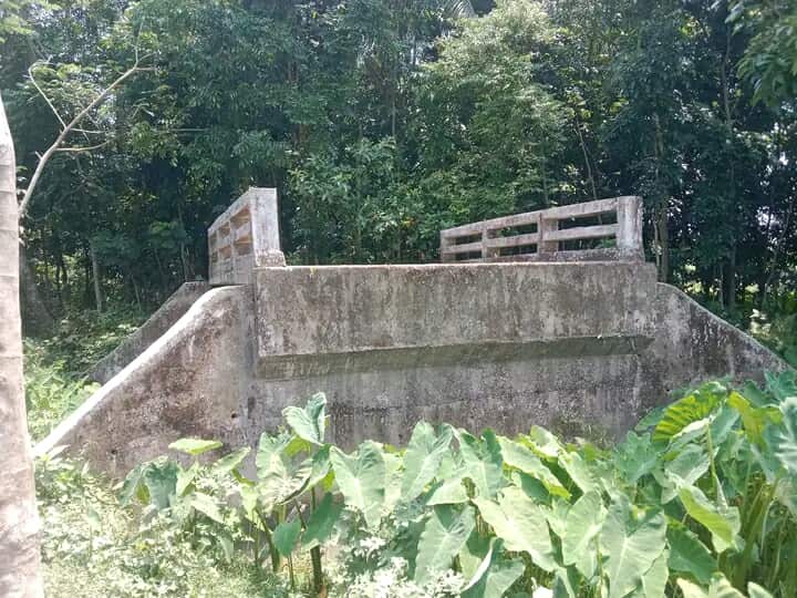 ঝালকাঠির নলছিটি উপজেলায় খাল ছাড়া সেতু, নেই রাস্তা