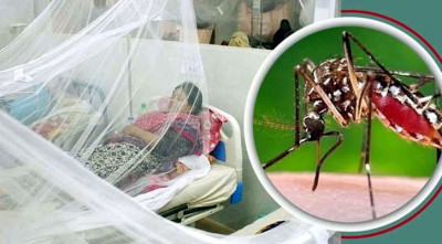 ২৪ ঘণ্টায় ডেঙ্গুতে ১২ জনের মৃত্যু, হাসপাতালে ভর্তি ৭৪০